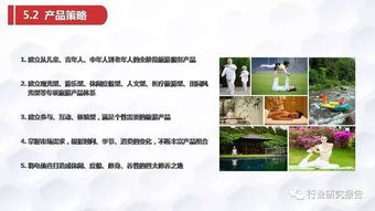 张家界龟仙谷旅游景区开发项目商业计划书